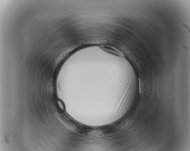 X0000100200252200806201428