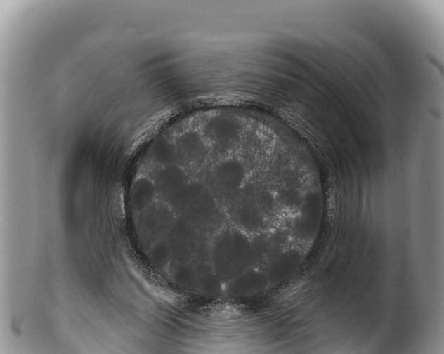 X0000100200254200806201428