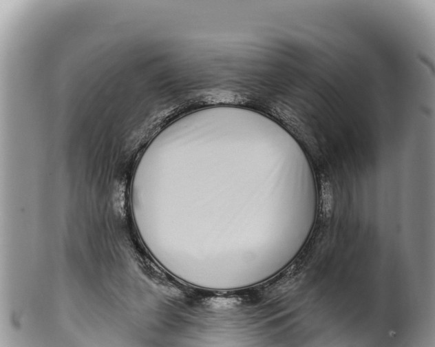 X0000100200255200806201428