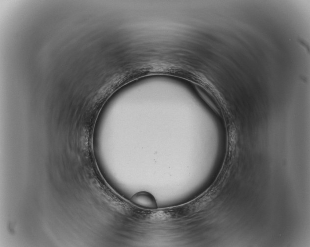 X0000100200257200806201428