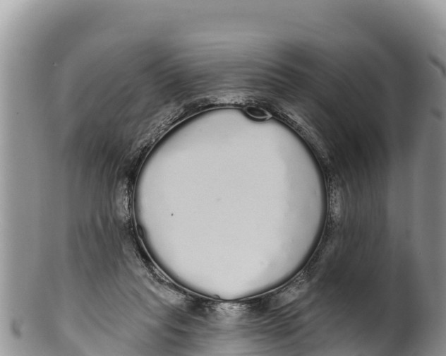 X0000100200261200806201428