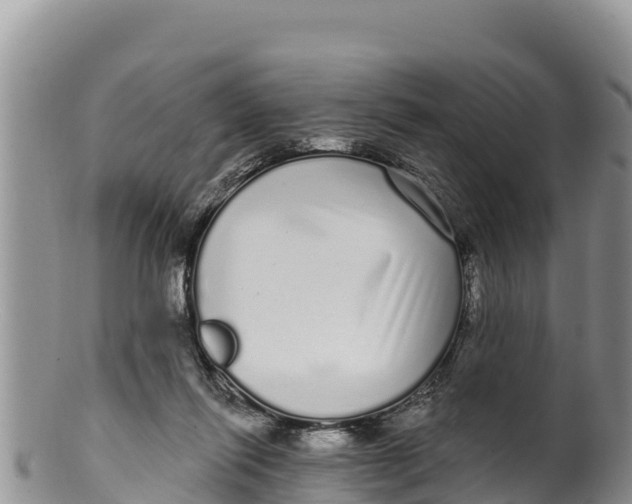 X0000100200262200806201428