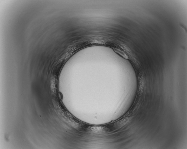 X0000100200265200806201428