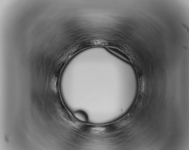 X0000100200266200806201428