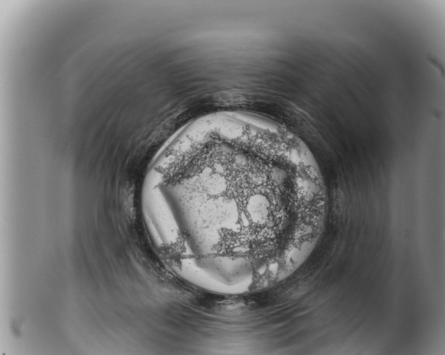 X0000100200267200806201428