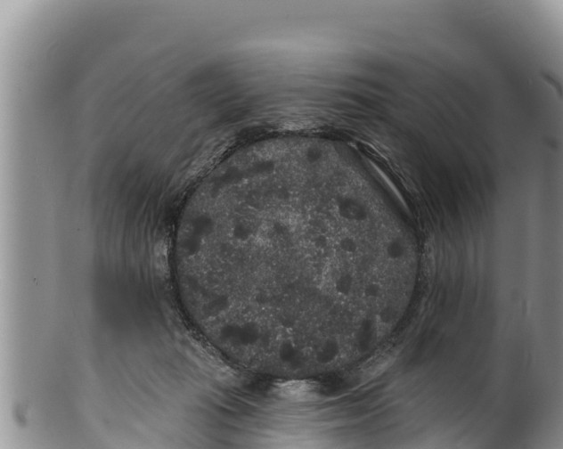 X0000100200269200806201428