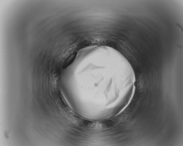 X0000100200276200806201428