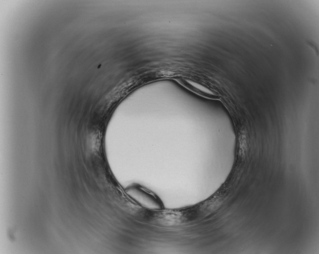 X0000100200278200806201428