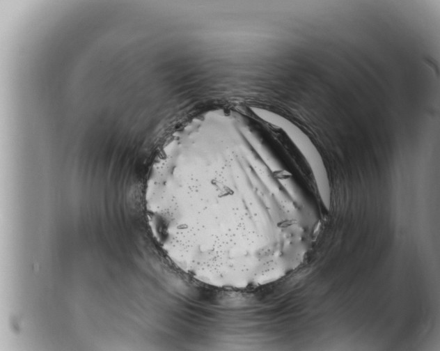 X0000100200286200806201429