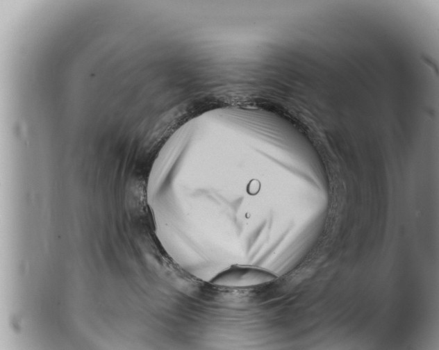 X0000100200288200806201429