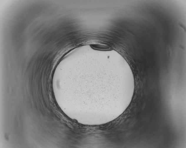 X0000100200289200806201428