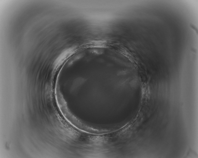 X0000100200293200806201428