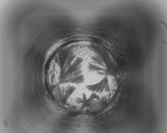 X0000100200294200806201428