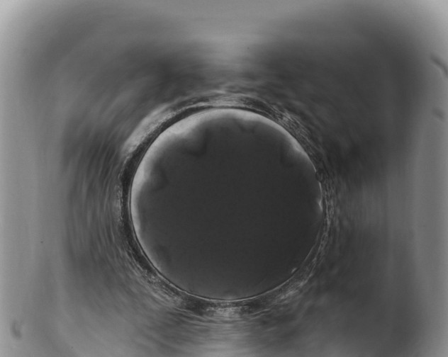 X0000100200295200806201428