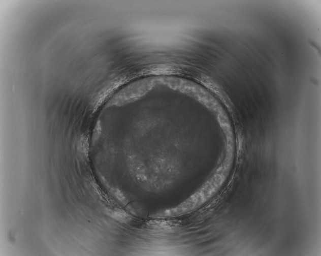 X0000100200297200806201428