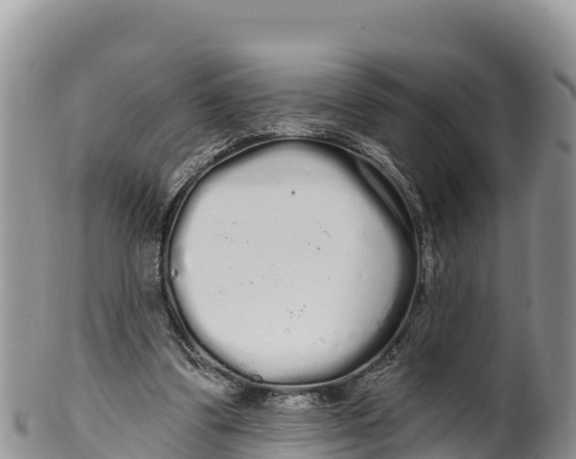 X0000100200299200806201428