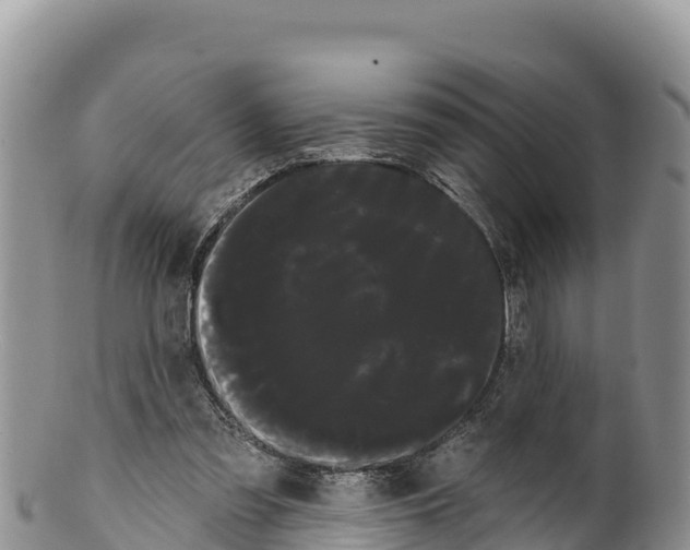 X0000100200301200806201428