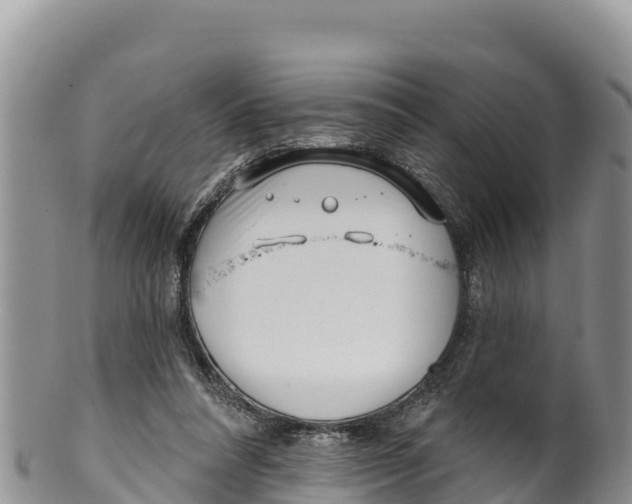 X0000100200304200806201428