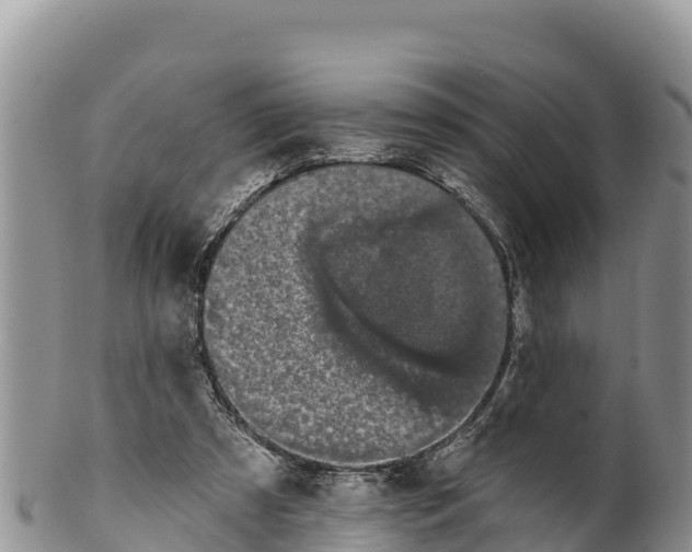 X0000100200305200806201428