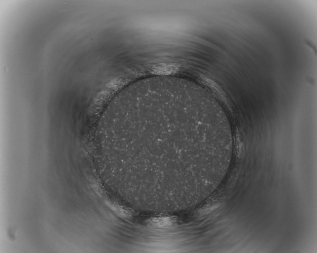 X0000100200307200806201428