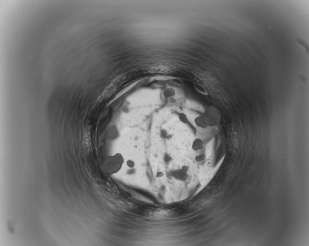 X0000100200312200806201428