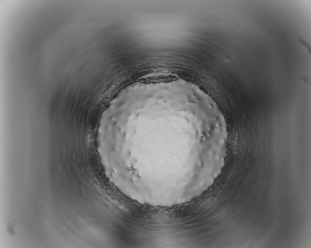 X0000100200314200806201428