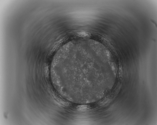 X0000100200320200806201427