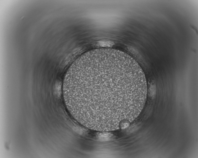 X0000100200321200806201427