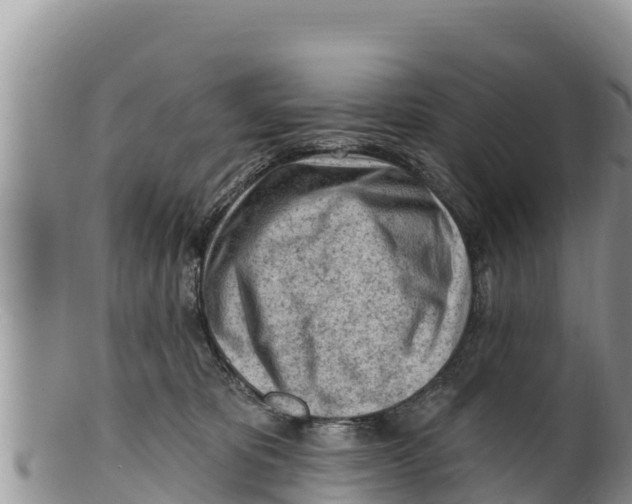 X0000100200325200806201427