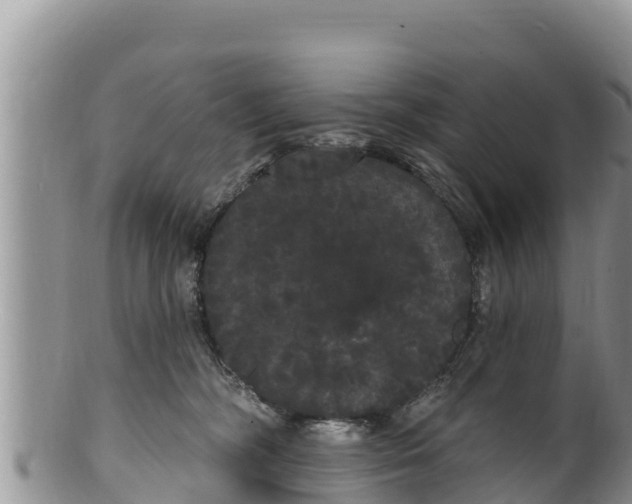 X0000100200326200806201427