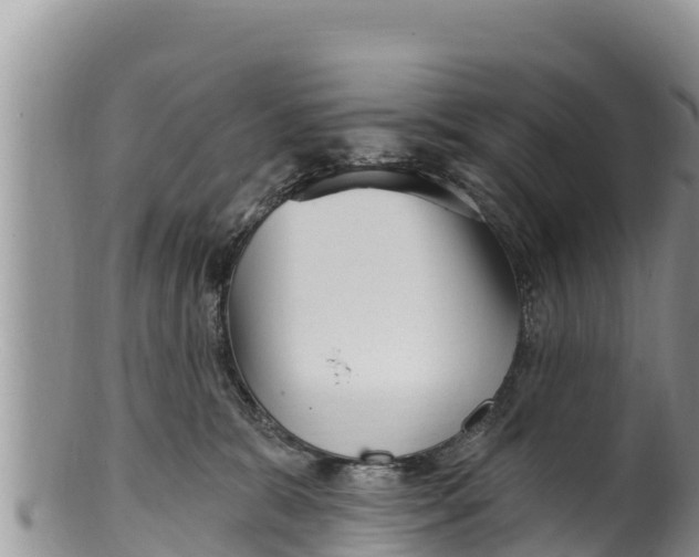 X0000100200327200806201427