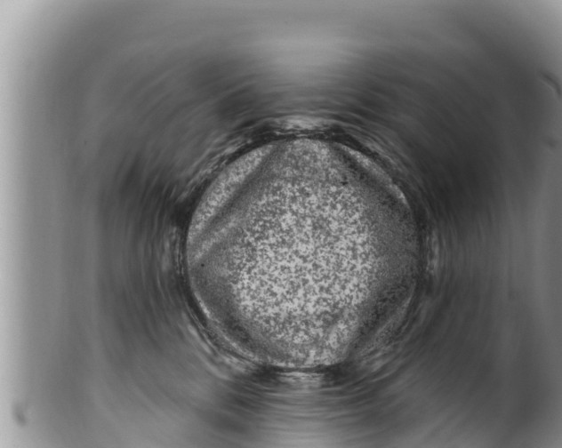 X0000100200328200806201427