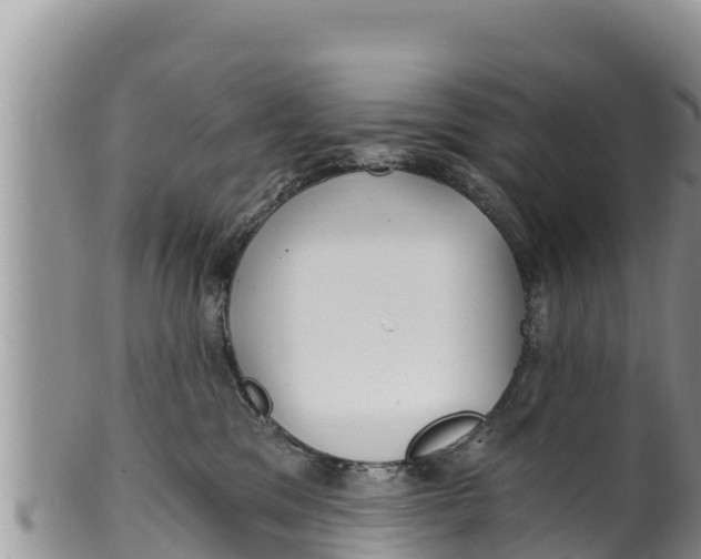 X0000100200329200806201427