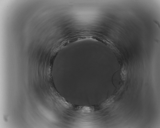 X0000100200330200806201427