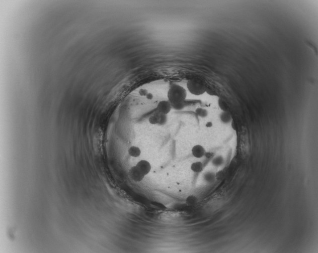 X0000100200332200806201427