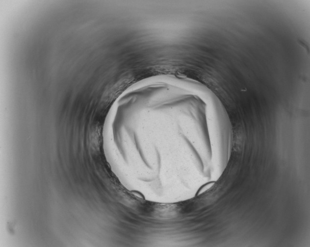 X0000100200334200806201427