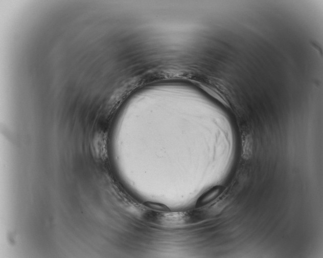 X0000100200335200806201427