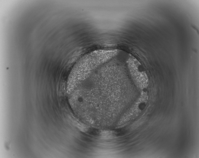 X0000100200336200806201427