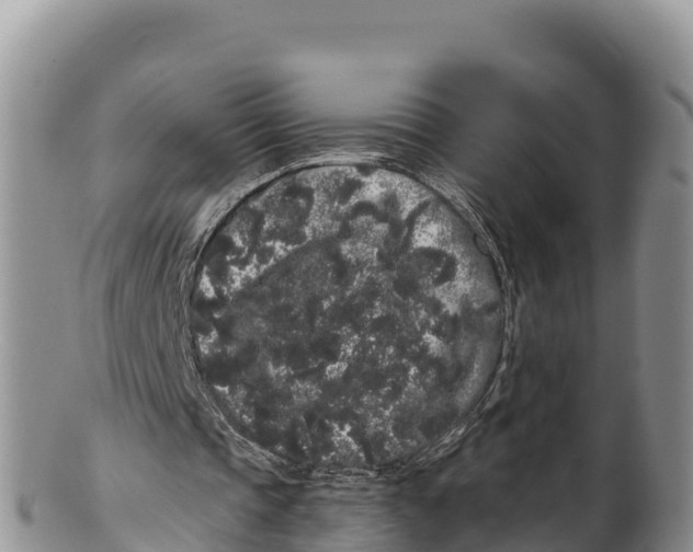 X0000100200337200806201426