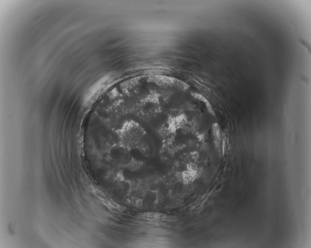 X0000100200339200806201426