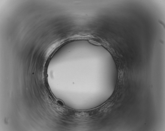 X0000100200340200806201426