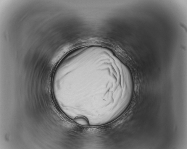 X0000100200341200806201426