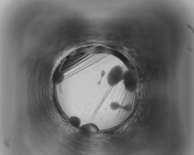 X0000100200342200806201426