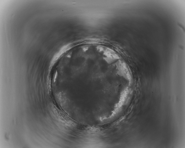 X0000100200343200806201426