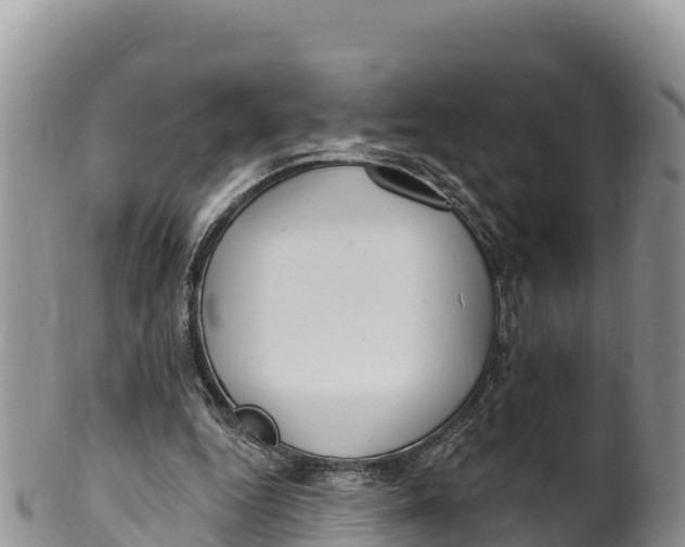 X0000100200344200806201426