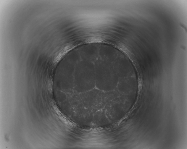 X0000100200345200806201426