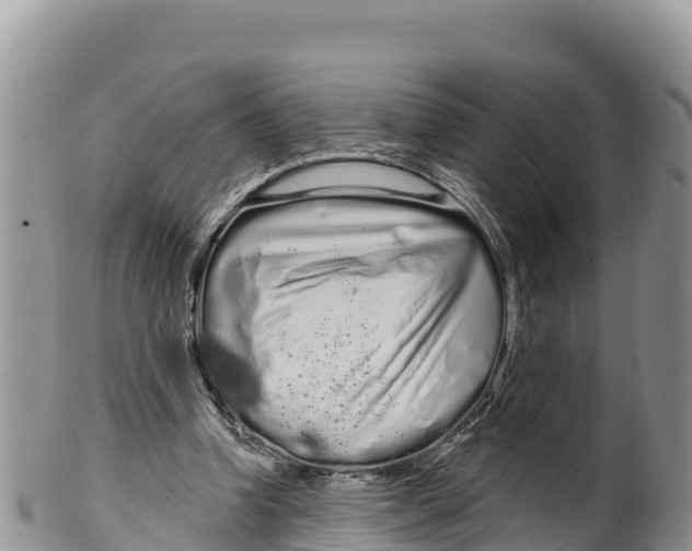 X0000100200346200806201426