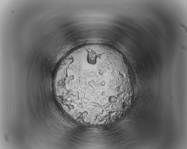 X0000100200347200806201426