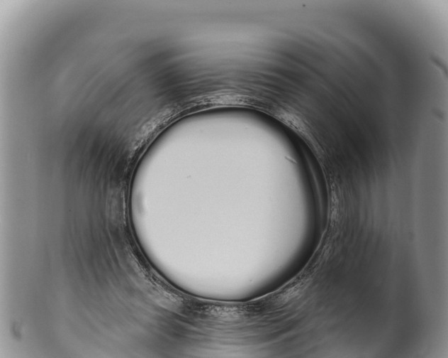 X0000100200349200806201427