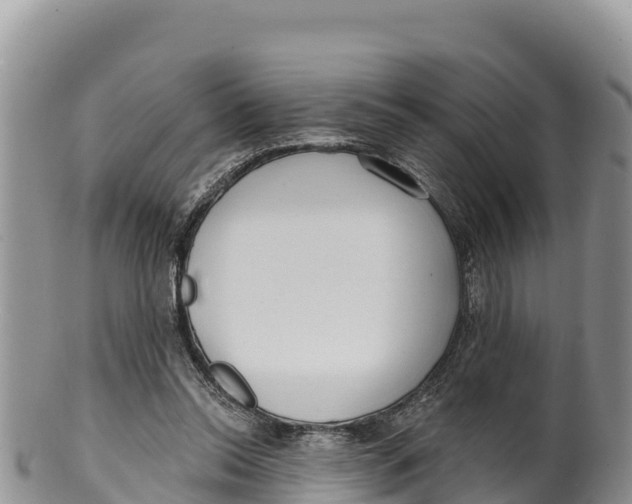 X0000100200350200806201427